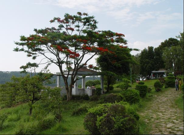 The Picturesque Shillong (India)